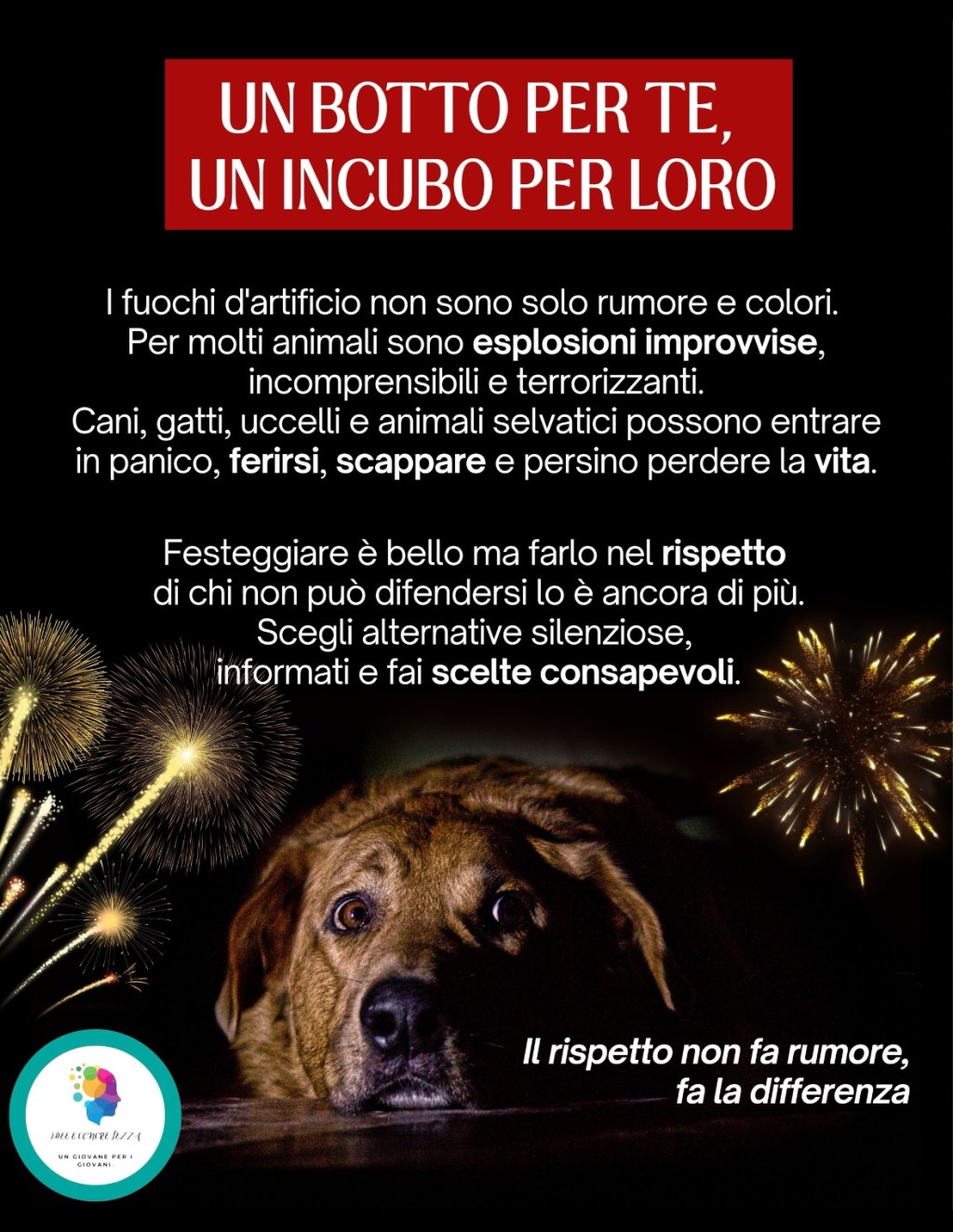 Villaricca – Fuochi d’artificio: un pericolo reale per la vita degli&nbsp;animali